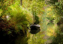 Autumn in the Spree Forest (Burg (Spreewald)/B��rkowy (Błota))