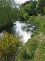 River Esk angler