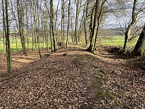 Die alte Landwehr bei Wersau war ein mittelalterlicher Grenzwall, der in Teilen bis heute erhalten geblieben ist.