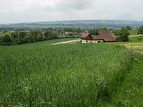 Maschwanden gegen den Lindenberg