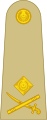 Insignia of two-star Major general Pakistan