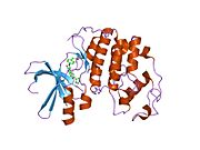 1ke7: CYCLIN-DEPENDENT KINASE 2 (CDK2) COMPLEXED WITH 3-{[(2,2-DIOXIDO-1,3-DIHYDRO-2-BENZOTHIEN-5-YL)AMINO]METHYLENE}-5-(1,3-OXAZOL-5-YL)-1,3-DIHYDRO-2H-INDOL-2-ONE