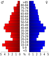 Bevolkingspiramide Carson County