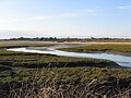 Baie de Goulven : la Flèche se jetant dans la mer à marée basse.