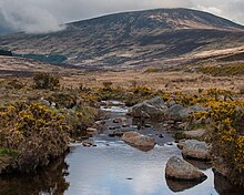 Monto Tonelagee en la valo Glendasan, Montoj Wicklow