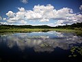 Lake Laurentian Conservation Area