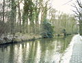 Het Rijswijkse Bos