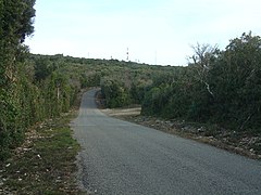 Autre court répit à la fin de la combe des Lattes, après 2,55 km de montée.