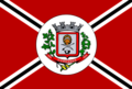 Bandeira de Coroados