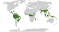 moist forest regions