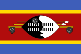 A Nguni shield features prominently on the Flag of Eswatini