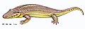 Madygenerpeton（英语：Madygenerpeton），生活在三叠纪，属于迟滞鳄目