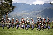 Warrior dancers (Papua New Guinea)