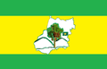 Bandeira de Buriti de Goiás