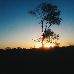 Skyline of Nova Independência