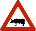 Animals (cattle) Warns that cattle often traverse or travel on the roads.