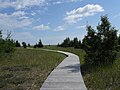 trottoir de bois de la plage youghall