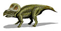 ᎢᎬᏱ ᎤᏲᎾ ᏘᏲᎭᎵ ᎡᏆ Protoceratops