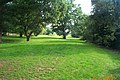 Open space with trees