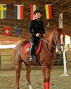 Horse riding in the west of the city