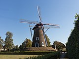 Lieshout, Windmühle "de Leest"