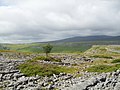 Ein ausgedehntes Kalksteinplateau westlich des Ribblesdale. Was aussieht wie ein Geröllfeld, ist tatsächlich zusammenhängender Fels.