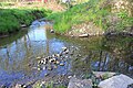 Zusammenfluss des Quellbachs vom Zehnsberg (links) mit dem Leinefelder Quellbach (rechts)