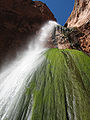 North Kaibab Trail