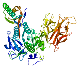 Структура белка PCSK9.