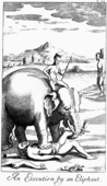 En dømt fange bliver lemlæstet af en elefant i Ceylon