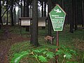 Mittelalterlicher Glasschmelzplatz am Flügel Jägerhorn im Tharandter Wald, Gemarkung Grillenburg