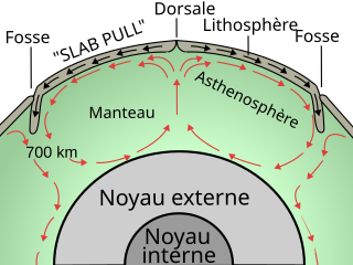 Schéma des cellules de convection.