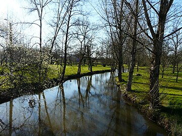 La Rizonne près du Moulin de Rafaly.