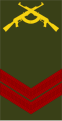Primeiro-cabo (Angolan Army)[4]