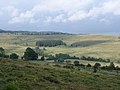 Aubrac landscape