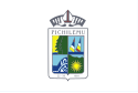 Pichilemu – Bandiera