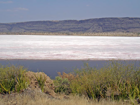 Image illustrative de l’article Lac Magadi