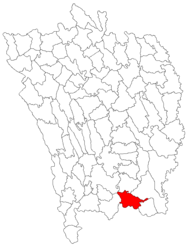 Location in Vaslui County