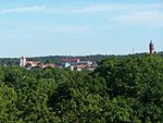Ronneby centrum sett på avstånd från Östra Kumlet i Ronneby brunnspark.