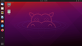 Ubuntu 21.04 Hirsute Hippo (Włochaty Hipopotam)