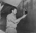 Image 261st Lt. Louis Zamperini, peers through a hole in his B-24D Liberator 'Super Man' made by a 20mm shell over Nauru, 20 April 1943. (from History of Tuvalu)