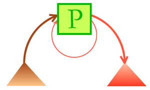 P = Produzenten Autotrophe Organismen