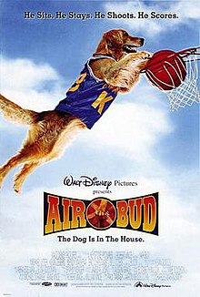 A golden retriever wearing a basketball jersey and dunking a ball