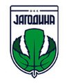 KK Jagodina logo