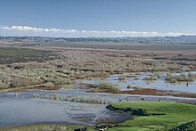 Whangamarino Wetland looking west from Falls Road alt text