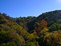 Eastern hillside of the Sepulveda Pass, east Skirball Center Drive overpass