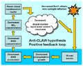 Schematic diagram of the anti-CLAW hypothesis