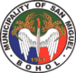 Official seal of San Miguel