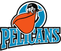 Pelicansin logo 2001-2016