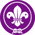 Logo de l’OMMS.